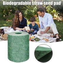 20x300Cm Tapis De Graine d Herbe Biodegradable Pelouse De Jardinage De Pique-Nique Tapis De Plantation Solution De Croissance.. Debuns