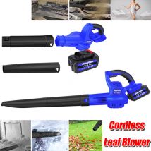 Dayplus - 21V Aspirateur de feuilles sans fil Souffleur de feuilles Broyeur de feuilles Souffleur de feuilles Accessoires 4000W