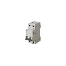 5SL3506-7 Disjoncteur Magnétothermique Automatique 6A 1P+N 230V - Siemens