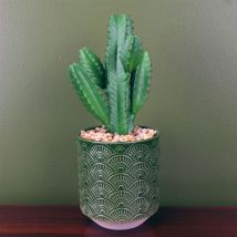 Leaf - 23cm Artificial Cactus Plant Potted in Green Ceramic Planter