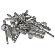 250 rivets alu tete 16 mm extra large de 4.8 x 16 tige acier
