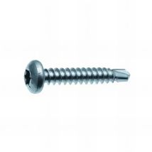 250 Vis Autoperceuses Tête Cylindrique Torx 6,3 X 19 Mm - Zingué Blanc - Vafcx6319002b