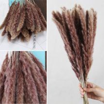 Yzmrbdqc - 25pcs Fleurs Séchees Naturelles Brun Herbe Pampas Sechees Décoration pour Maison Table Balcon Mariage Bouquet de Fleurs Vase-Environs