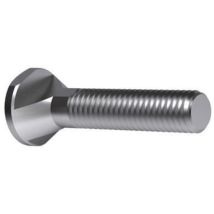 Vis Pour Rainure En T (din 787) Rainure En T 16mm M16 L.160mm Classe De Qualité 8.8 Amf
