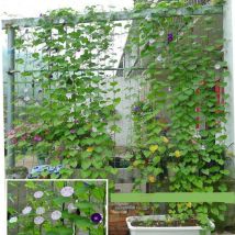 27 brins de filets d'escalade pour plantes de jardinage, melon et fruits gloire du matin fleurs grimpantes vignes grimpantes, cordes d'escalade,