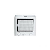 Filtro DES19 Combinato hepa + Filtro a Carboni Attivi Deumidificatore Purificatore d'Aria DES19 - Haverland