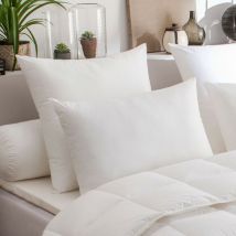 2er-Set Kopfkissen Maxiconfort Thermolite Ultra Dodo