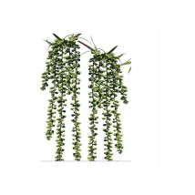 2Pcs Artificielle Suspendus Succulentes Faux Burro's Tail Picks Trailing String of Pearls Succulents Faux Verdure Floral Arrangement