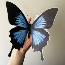 2X Aufkleber Auto Motorrad Deko Schmetterling Blau Schwarz Kühlschrank