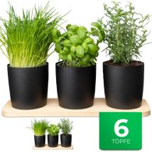 2x Novaliv Kräutertopf 2x Holzbrett, 6x Kräutertöpfe