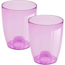 2x Pastier d'orchidée Cubi Orchidée en couleur violette transparente 13.2 (Long) x 13.2 (largeur) x 16 (hauteur) cm