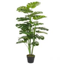 Bizzotto - Filodendron Im Topf 23 Blätter 120 Cm