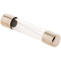 Zenitech - Lot de 3 fusibles en verre 5x20 10A