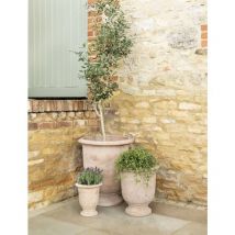 Garden Trading - 3 x Ubley Planters Terracotta Garden Tall Flower Pots