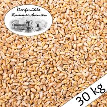 30 kg Weizen Gereinigt Hühnerfutter Geflügelfutter Futterweizen Vogelfutter Ernte 2023 dml