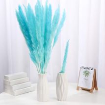 30 pcs Fleurs Séchées Herbe de Pampa Naturelle Séchée Plante de Roseau avec Bote Vraies Fleurs Romantique Mariage Fleur Bouquets de Jonc Savoureux