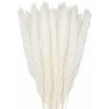 30 pcs Herbe de la Pampa 45 cm - Bouquet de Fleurs Séchées pour Vases - Blanc Boho Décoration Maison