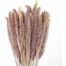 30 pcs Herbe de la Pampa Naturelle - Bouquet de Fleurs Séchées de 45 cm pour Vases, Décoration Boho Mariage