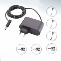 30.45V Aspirateur Chargeur pour Dyson V10/SV12/V11/SV14 Chargeur pour Dyson Aspirateur Adaptateur Secteur Pièces de rechange pour aspirateurs