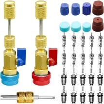 S-giant - 31pcs Noyau de Valve R134A Démontage et Installation Rapide, Kit d'outils de démontage du Noyau de Valve Haute Pression Basse Pression