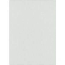 BRICOFLOR Papier Peint uni gris vert Papier Peint intissé gris pour salon lumineux Tapisserie design gris vert pour chambre, cuisine & plus