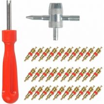 Ibuyke - 32pcs Demonte Valve Pneu Outil - Valve Core Remover pour Voiture Remplacement, Valve Core 30pcs, 4-1 Outil de Réparation de Valve de Pneu