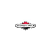 Kit Guarnizioni Motore Originale Briggs & Stratton 695438
