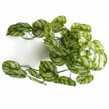 Leaf - 35cm Artificial Trailing Light Natural Look Plant Realistic