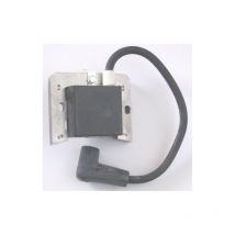 Tecumseh - 37395 - Bobine d'Allumage pour Moteur