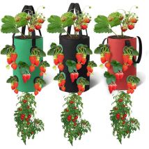 Rnemitery - 3er-Set hängende Pflanzbeutel, atmungsaktive Pflanzbeutel mit 12 Löchern, für Erdbeeren, Kräuter, Blumen, Gemüse, 20 cm 35 cm (Rot,