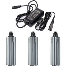 Powerwings - 3X 5,0Ah Pour Daiwa Shimano Moulinet p ̈oche Batterie Tanacom500 Joue BM2300 + Chargeur