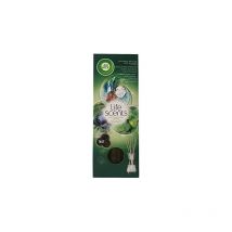 3 X airwick parfum vase avec perles aromatiques bâtonnets parfumés life scents lush hideaway ''