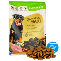 4 kg de friandises.Pet Gino's Adult Maxi au poulet Nourriture sèche pour chiens + balle de tennis