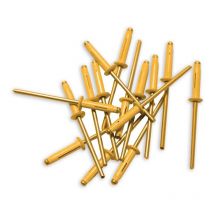 Rivetti 4,8 x 22 Gialli per Targa d'immatricolazione (80 rivetti)