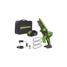 Greenworks - 48V dvt Mini Chainsaw 10cm avec kit energy GD48MCS10K2