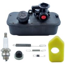 Lauwexe - 494406 Réservoir de carburant et carburateur 795477 Remplacement du filtre à air 498809, 498809A, 498811, 494407, 494775, 497619, 699660,