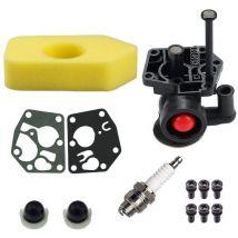 Lifcausal - 498809 Réservoir de Carburant 795477 Carburateur 698369 Filtre à Air de Remplacement pour Briggs & Stratton 494406 498809A 795469 794147