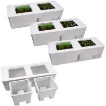 4er Set Küchen Kräutergarten Indoor Kräuter Gewächshaus selbstbewässernd Kräutertopf Set