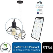 WiZ pendant with Bird Cage and ST64 Amber Vintage Lamp - 4lite