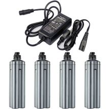 Powerwings - 4 Pièces BM2900 BM2600 BM02300 Batterie de moulinet de pêche électrique & Chargeur pour Daiwa BM2000 Tanacom 1000 Tanacom 750 SB300MJ