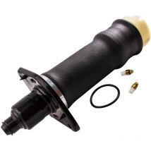 Arrière Droite Amortisseur Pneumatique for Audi Allroad Quattro A6/C5 1999-2006