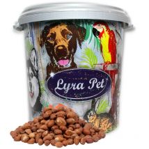 10 kg Lyra Pet Erdnusskerne mit Haut Neue Ernte in 30 l Tonne