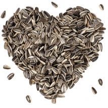 10 kg Lyra Pet Sonnenblumenkerne gestreift hk Bulgarien