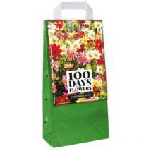 5 Bulbes Dahlias Topmix