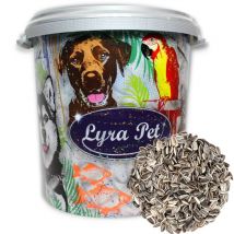 10 kg de graines de tournesol Lyra Pet rayées hk Bulgarie en bac de 30 l