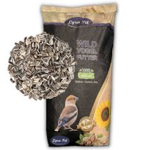 25 kg de graines de tournesol Lyra Pet rayées Nouvelle récolte