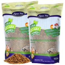 10 kg de larves de mouches soldats Lyra Pet
