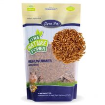 2 x 1 kg Lyra Pet vers de farine pour rongeurs
