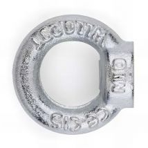 50 anneaux de levage 40 mm femelle DIN-582, zingué