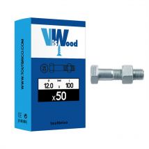 50 boulons 12x100mm tête hexa - zingué Viswood